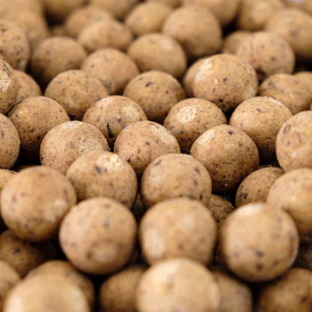 Boilies
