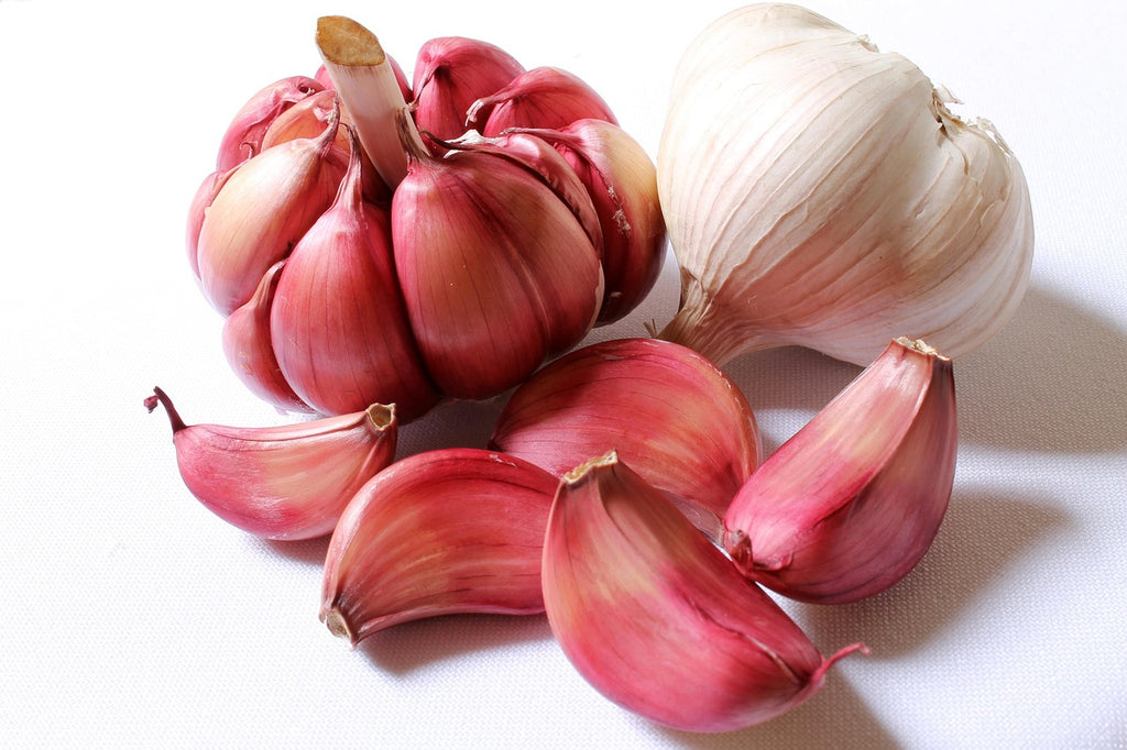 Red Garlic Boilie 20mm
